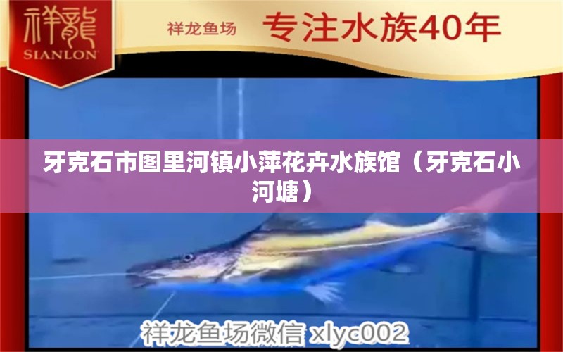 牙克石市图里河镇小萍花卉水族馆（牙克石小河塘）