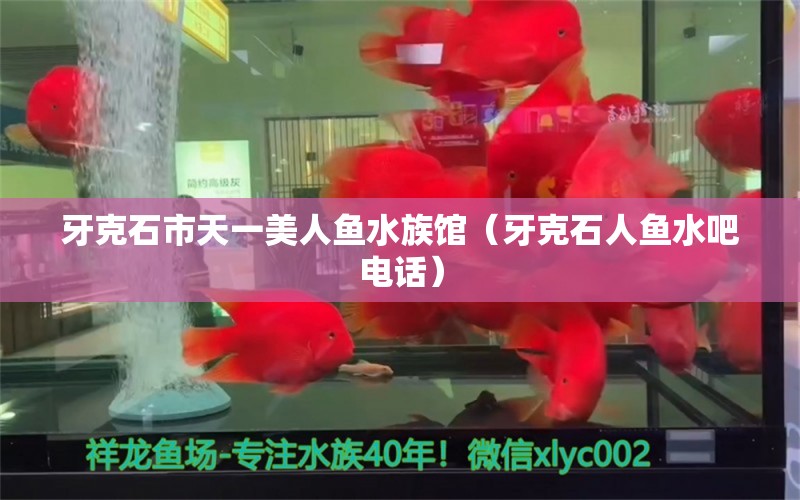 牙克石市天一美人鱼水族馆（牙克石人鱼水吧电话）