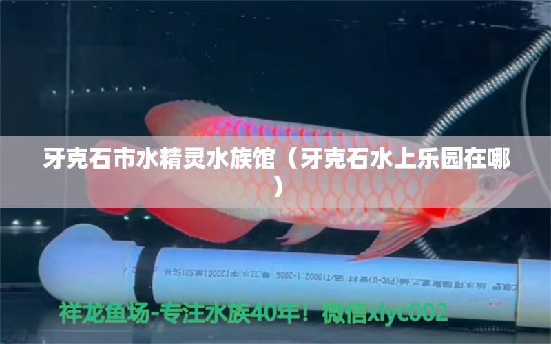 牙克石市水精灵水族馆（牙克石水上乐园在哪）