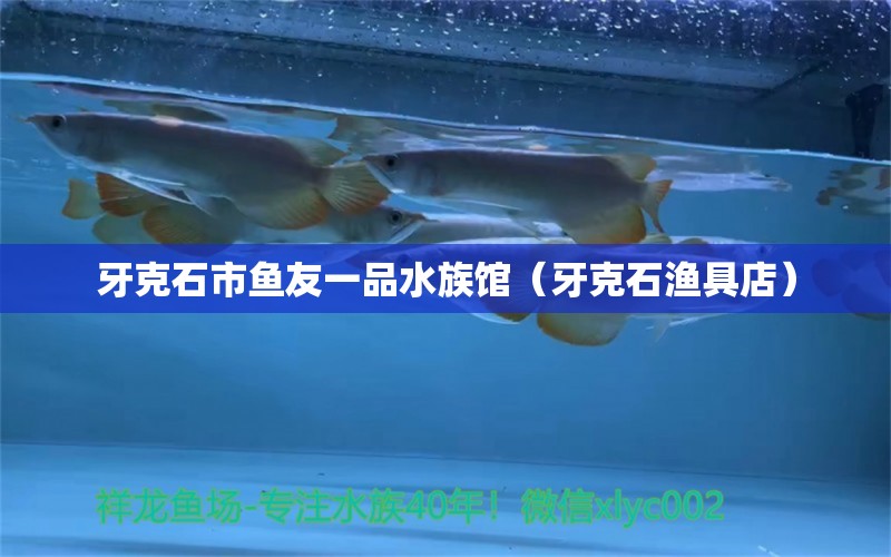 牙克石市鱼友一品水族馆（牙克石渔具店）