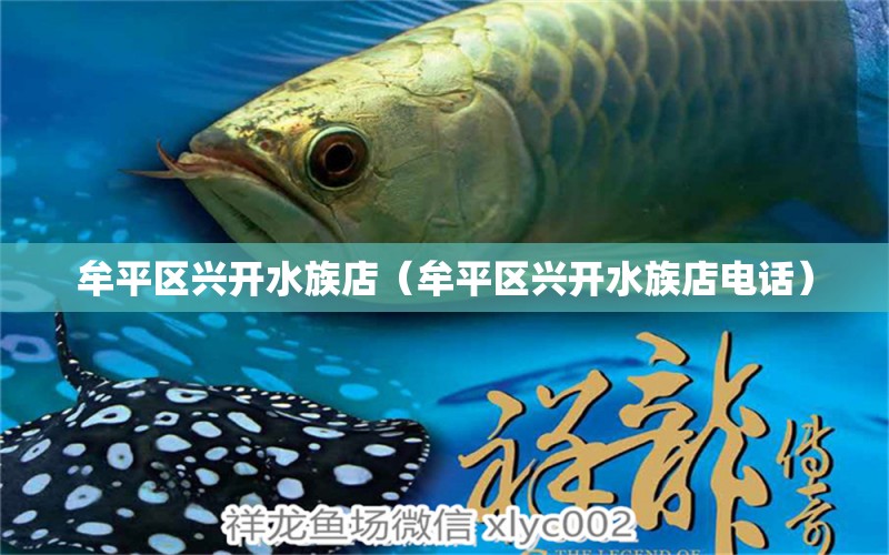 牟平区兴开水族店（牟平区兴开水族店电话） 全国水族馆企业名录