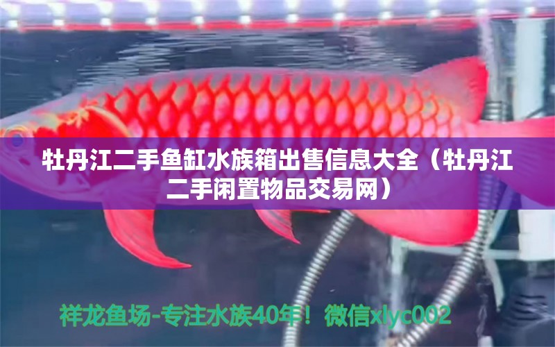 牡丹江二手鱼缸水族箱出售信息大全（牡丹江二手闲置物品交易网） 祥禾Super Red红龙鱼