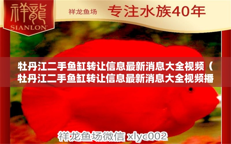 牡丹江二手鱼缸转让信息最新消息大全视频（牡丹江二手鱼缸转让信息最新消息大全视频播放）