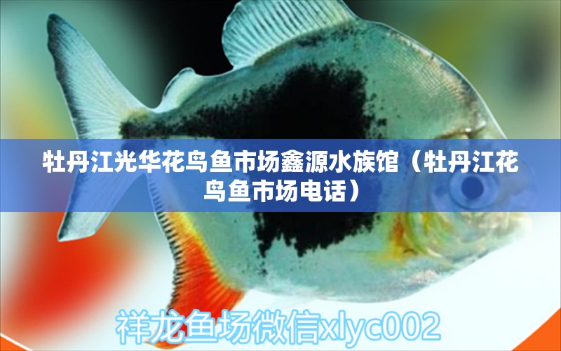 牡丹江光华花鸟鱼市场鑫源水族馆（牡丹江花鸟鱼市场电话）