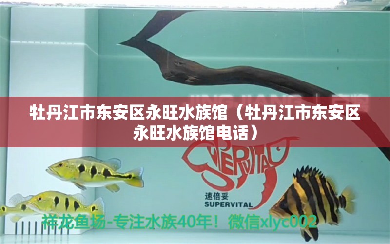 牡丹江市东安区永旺水族馆（牡丹江市东安区永旺水族馆电话）