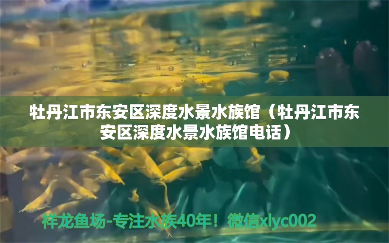 牡丹江市东安区深度水景水族馆（牡丹江市东安区深度水景水族馆电话）