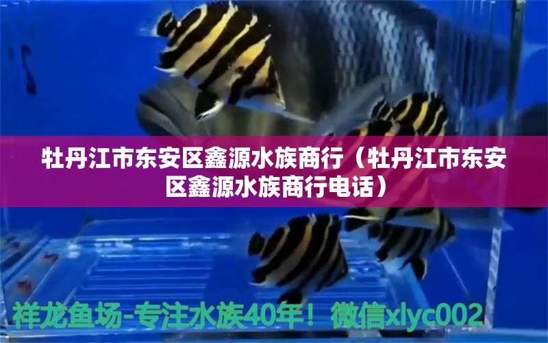 牡丹江市东安区鑫源水族商行（牡丹江市东安区鑫源水族商行电话）