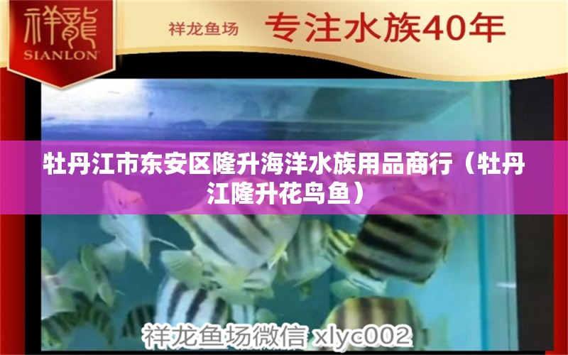 牡丹江市东安区隆升海洋水族用品商行（牡丹江隆升花鸟鱼） 水族用品