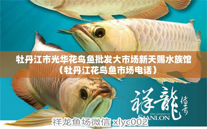 牡丹江市光华花鸟鱼批发大市场新天赐水族馆（牡丹江花鸟鱼市场电话）