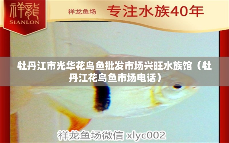 牡丹江市光华花鸟鱼批发市场兴旺水族馆（牡丹江花鸟鱼市场电话）