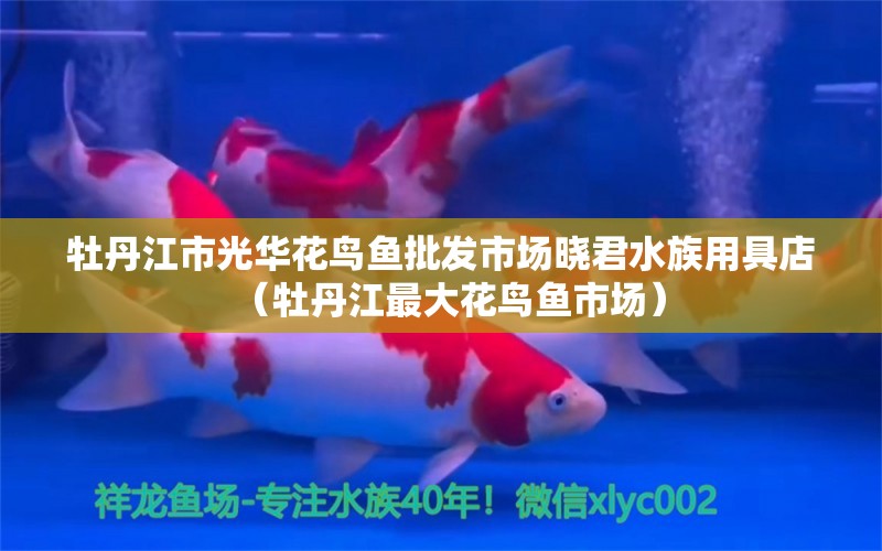 牡丹江市光华花鸟鱼批发市场晓君水族用具店（牡丹江最大花鸟鱼市场） 全国水族馆企业名录