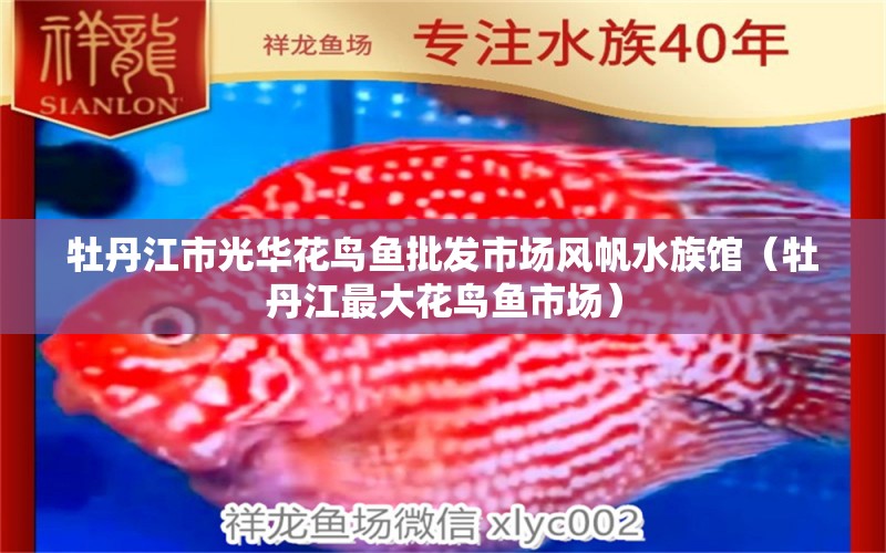 牡丹江市光华花鸟鱼批发市场风帆水族馆（牡丹江最大花鸟鱼市场）