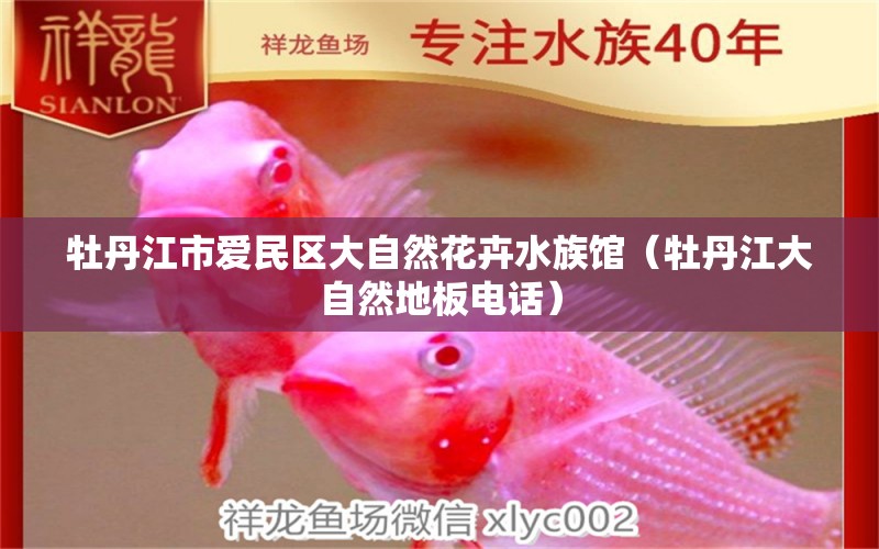 牡丹江市爱民区大自然花卉水族馆（牡丹江大自然地板电话）