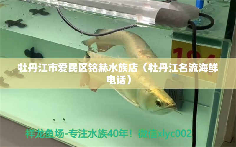 牡丹江市爱民区铭赫水族店（牡丹江名流海鲜电话） 全国水族馆企业名录