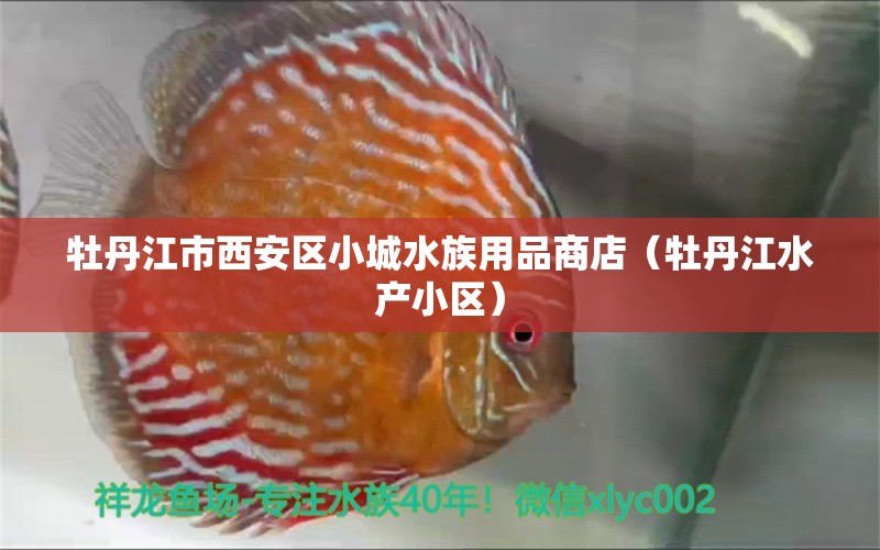 牡丹江市西安区小城水族用品商店（牡丹江水产小区）