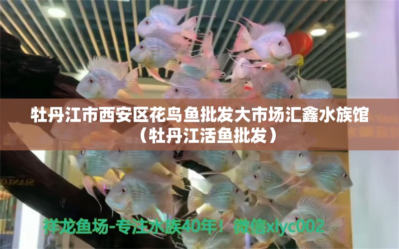 牡丹江市西安区花鸟鱼批发大市场汇鑫水族馆（牡丹江活鱼批发） 全国水族馆企业名录