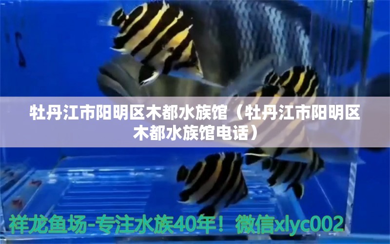 牡丹江市阳明区木都水族馆（牡丹江市阳明区木都水族馆电话） 全国水族馆企业名录