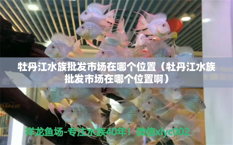 牡丹江水族批发市场在哪个位置（牡丹江水族批发市场在哪个位置啊）