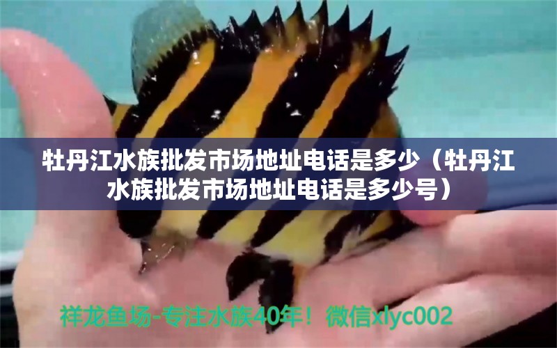 牡丹江水族批发市场地址电话是多少（牡丹江水族批发市场地址电话是多少号）