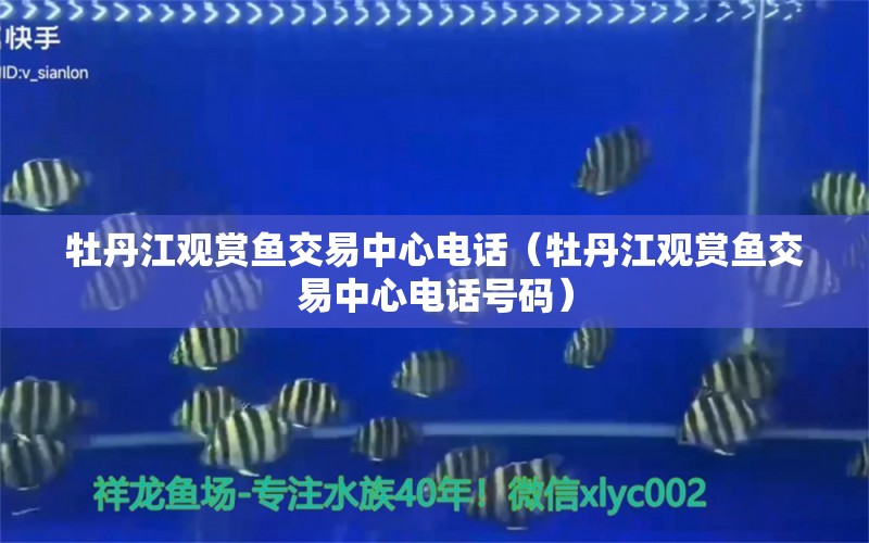 牡丹江观赏鱼交易中心电话（牡丹江观赏鱼交易中心电话号码） 祥龙鱼场