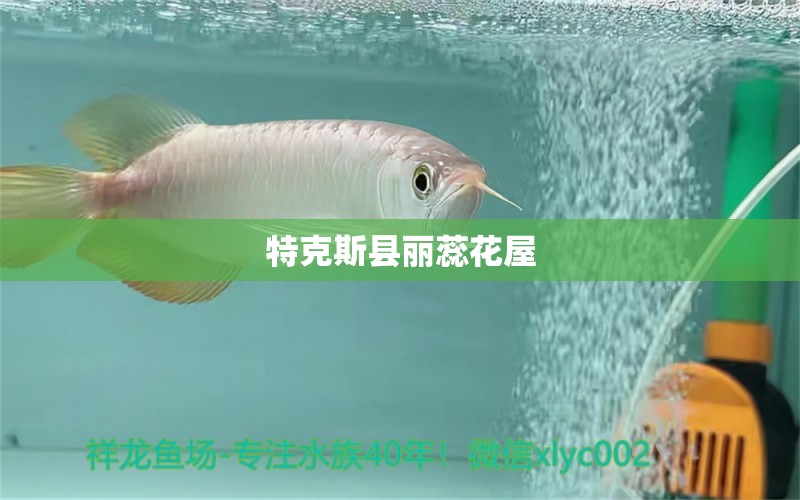 特克斯县丽蕊花屋 全国水族馆企业名录