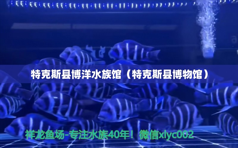 特克斯县博洋水族馆（特克斯县博物馆） 全国水族馆企业名录