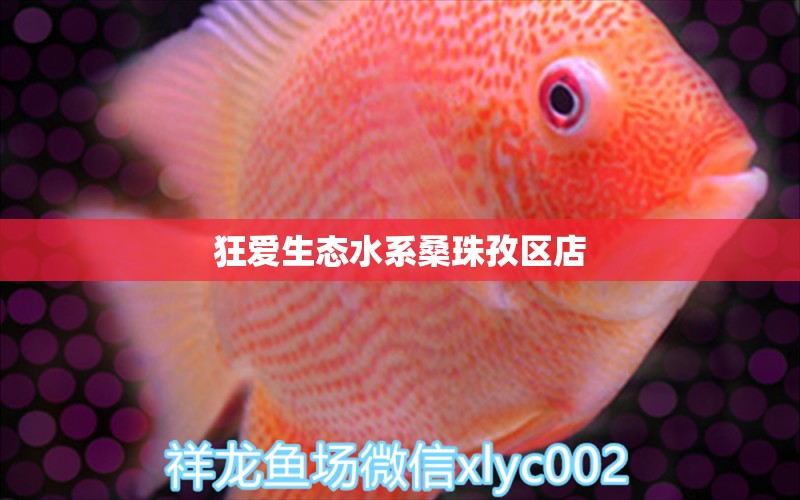 狂爱生态水系桑珠孜区店 全国水族馆企业名录