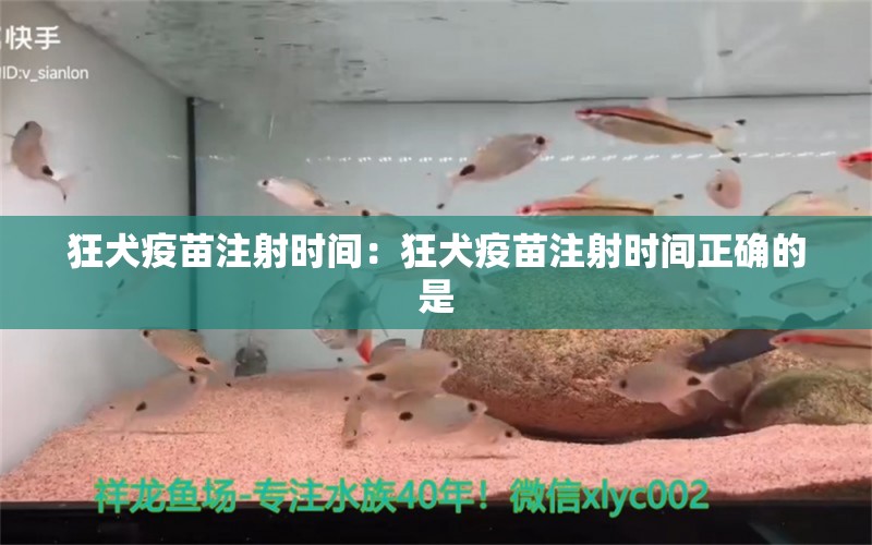 狂犬疫苗注射时间：狂犬疫苗注射时间正确的是