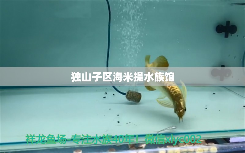 独山子区海米提水族馆