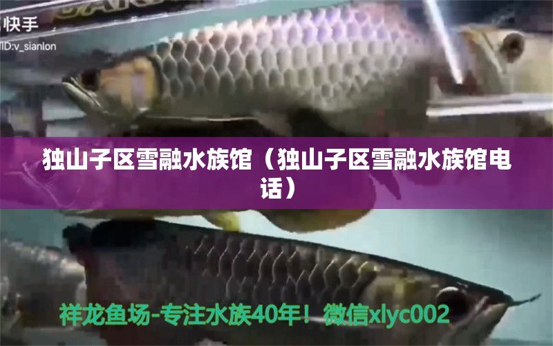 独山子区雪融水族馆（独山子区雪融水族馆电话） 全国水族馆企业名录