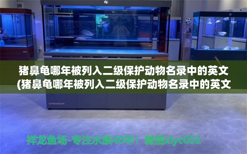 猪鼻龟哪年被列入二级保护动物名录中的英文(猪鼻龟哪年被列入二级保护动物名录中的英文翻译)