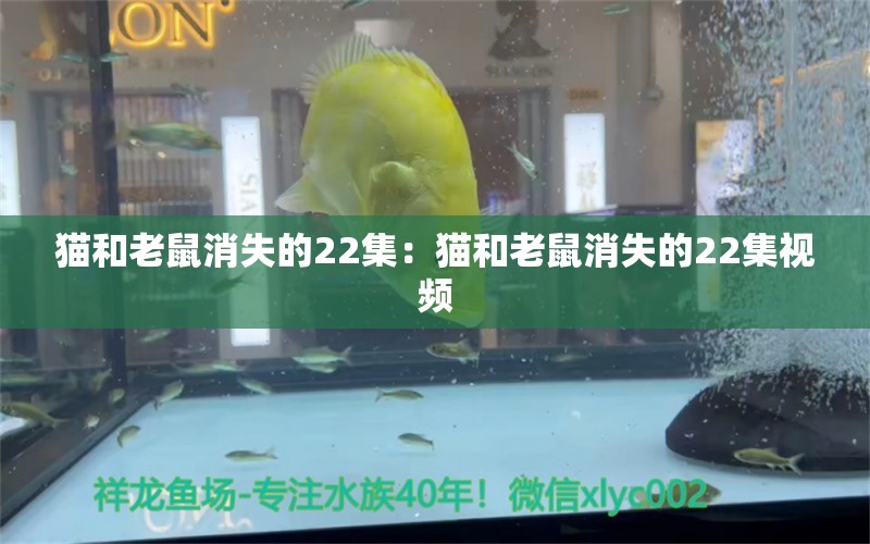 猫和老鼠消失的22集：猫和老鼠消失的22集视频