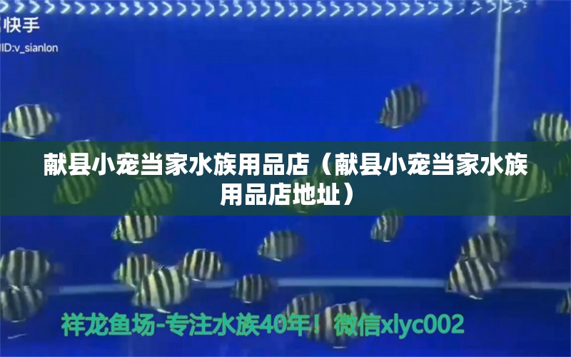 献县小宠当家水族用品店（献县小宠当家水族用品店地址）