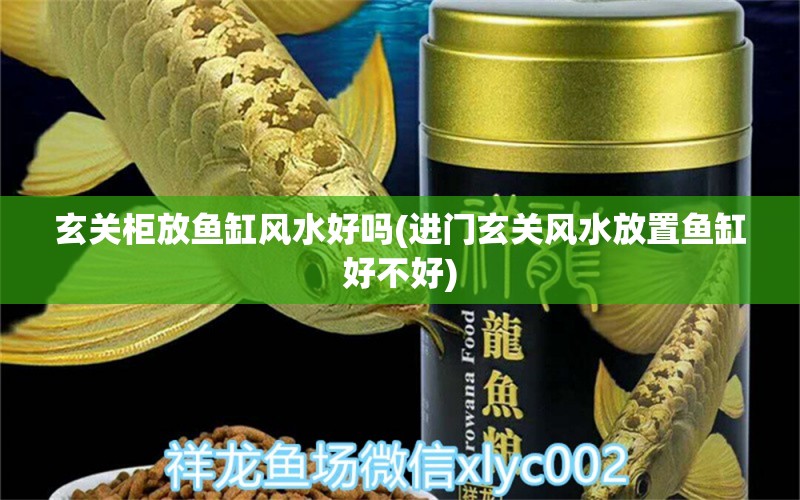 玄关柜放鱼缸风水好吗(进门玄关风水放置鱼缸好不好) 鱼缸风水