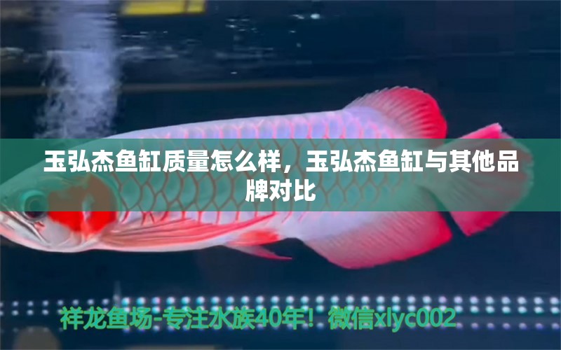 玉弘杰鱼缸质量怎么样，玉弘杰鱼缸与其他品牌对比 鱼缸百科 第2张