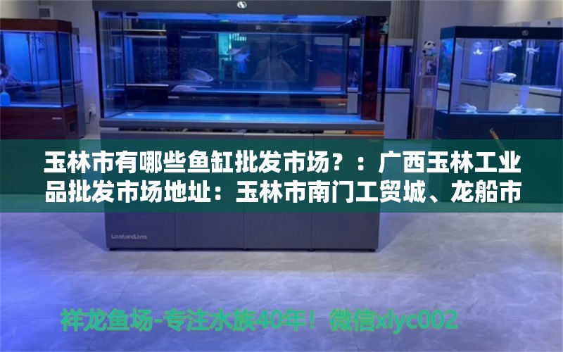 玉林市有哪些鱼缸批发市场？：广西玉林工业品批发市场地址：玉林市南门工贸城、龙船市场 鱼缸百科 第2张