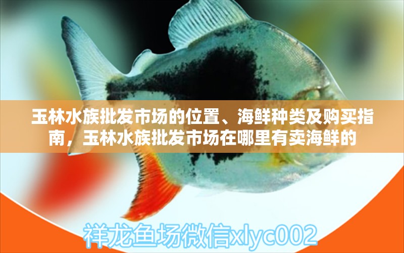 玉林水族批发市场的位置、海鲜种类及购买指南，玉林水族批发市场在哪里有卖海鲜的 观赏鱼水族批发市场 第2张