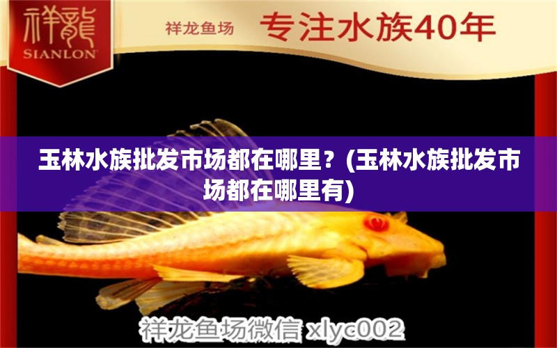 玉林水族批发市场都在哪里？(玉林水族批发市场都在哪里有)