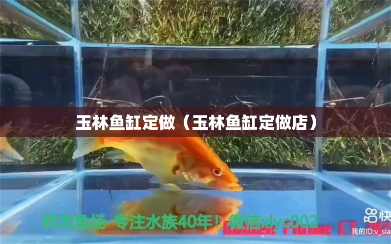 玉林鱼缸定做（玉林鱼缸定做店） 观赏鱼水族批发市场 第1张