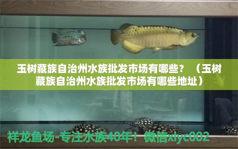 玉树藏族自治州水族批发市场有哪些？ （玉树藏族自治州水族批发市场有哪些地址）