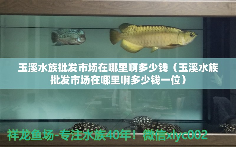 玉溪水族批发市场在哪里啊多少钱（玉溪水族批发市场在哪里啊多少钱一位）