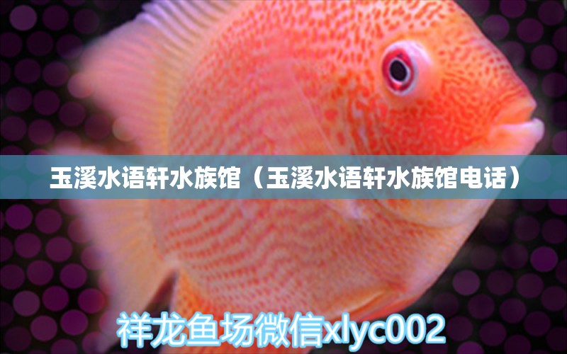 玉溪水语轩水族馆（玉溪水语轩水族馆电话）