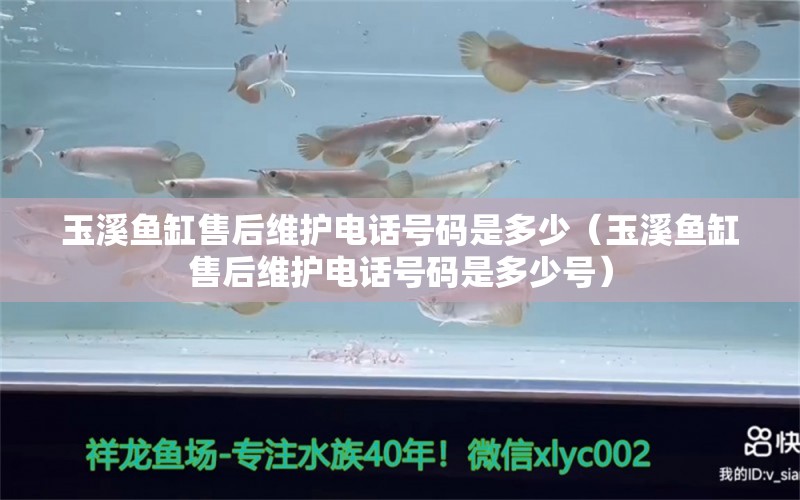 玉溪鱼缸售后维护电话号码是多少（玉溪鱼缸售后维护电话号码是多少号） 其他品牌鱼缸