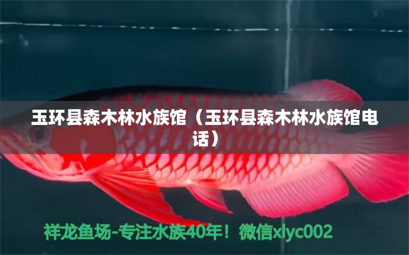 玉环县森木林水族馆（玉环县森木林水族馆电话）