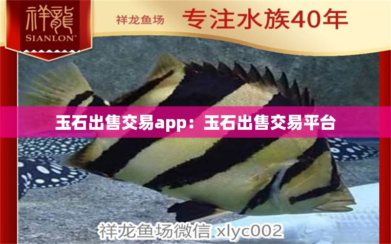 玉石出售交易app：玉石出售交易平台