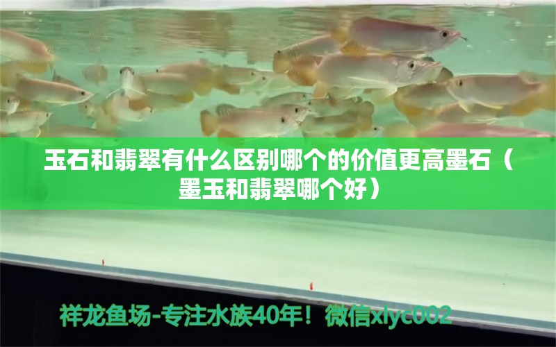 玉石和翡翠有什么区别哪个的价值更高墨石（墨玉和翡翠哪个好）