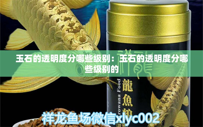 玉石的透明度分哪些级别：玉石的透明度分哪些级别的 文玩