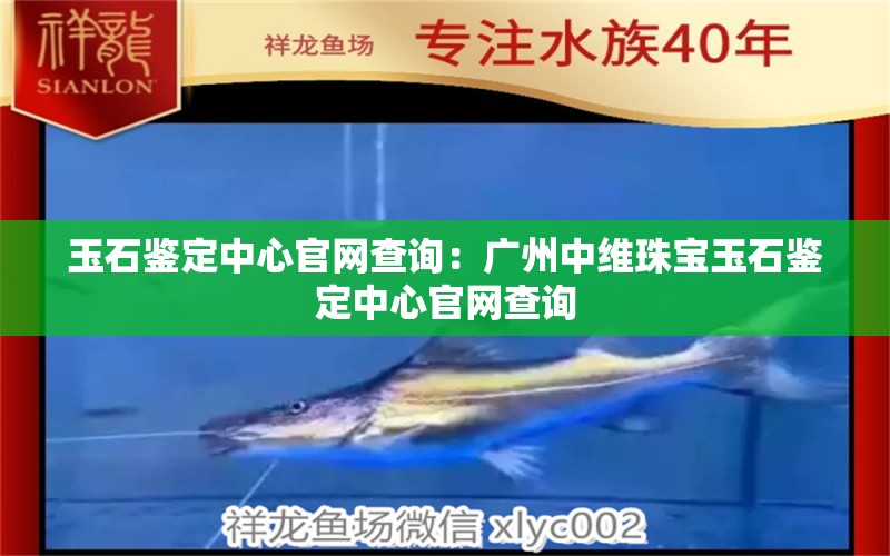 玉石鉴定中心官网查询：广州中维珠宝玉石鉴定中心官网查询 文玩