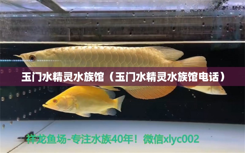 玉门水精灵水族馆（玉门水精灵水族馆电话） 全国水族馆企业名录