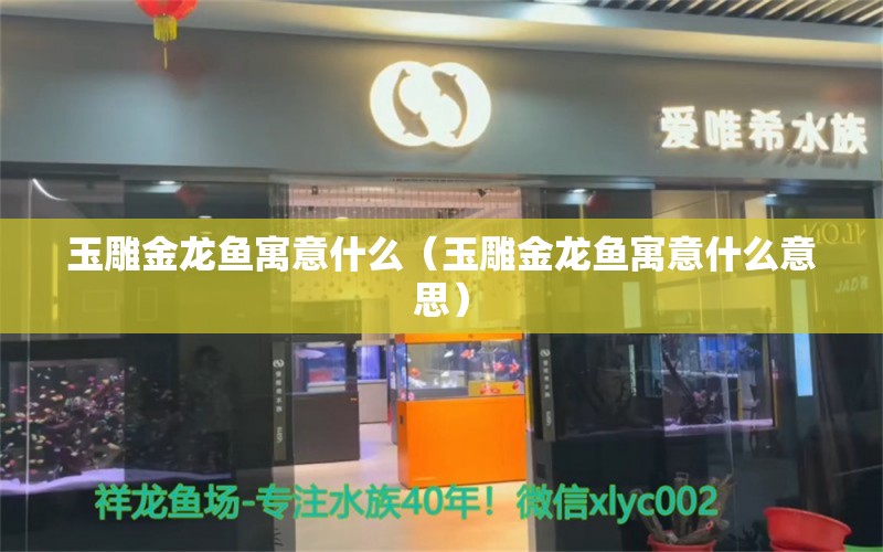 玉雕金龙鱼寓意什么（玉雕金龙鱼寓意什么意思） 祥龙水族医院 第2张